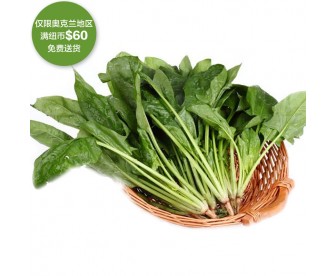 【疫情蔬果专区】菠菜 500克【请单独下单,不要和其它专区商品混搭】 【疫情蔬果专区】菠菜 500克【请单独下单,不要和其它专区商品混搭】