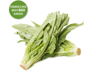 【疫情蔬果专区】油麦菜 500克【请单独下单,不要和其它专区商品混搭】 【疫情蔬果专区】油麦菜 500克【请单独下单,不要和其它专区商品混搭】
