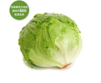 【疫情蔬果专区】生菜 1个【请单独下单,不要和其它专区商品混搭】 【疫情蔬果专区】生菜 1个【请单独下单,不要和其它专区商品混搭】