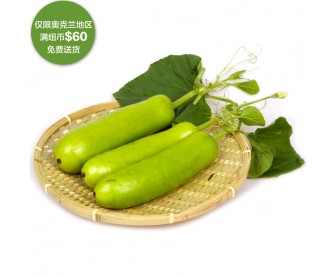 【疫情蔬果专区】蒲瓜 1个 (约600克-800克)【请单独下单,不要和其它专区商品混搭】 【疫情蔬果专区】蒲瓜 1个 (约600克-800克)【请单独下单,不要和其它专区商品混搭】