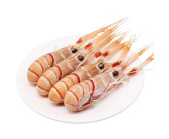 无头新西兰南极小龙虾1KG装mix size约40多只（袋装）