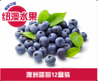 【直发中国】澳洲蓝莓12盒装（约125克/盒） 